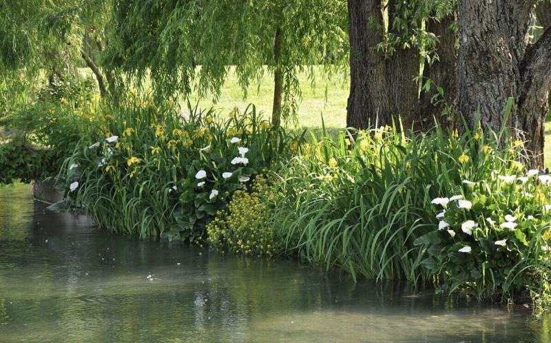 La Finestra Sul Fiume - Genel