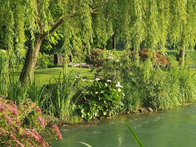 La Finestra Sul Fiume - Genel