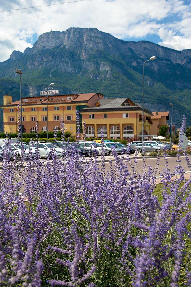 Sartori's Hotel - Genel