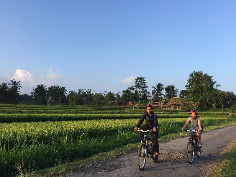 Hanging Gardens of Bali - Aktivite