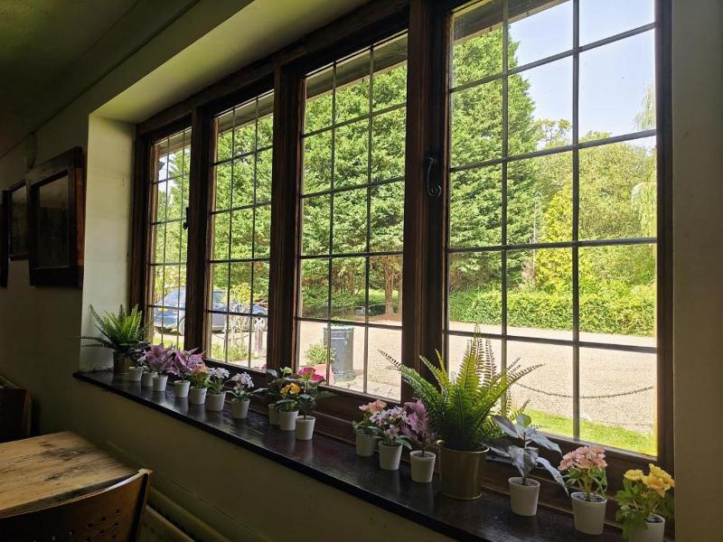 Little Foxes Hotel - Lobi