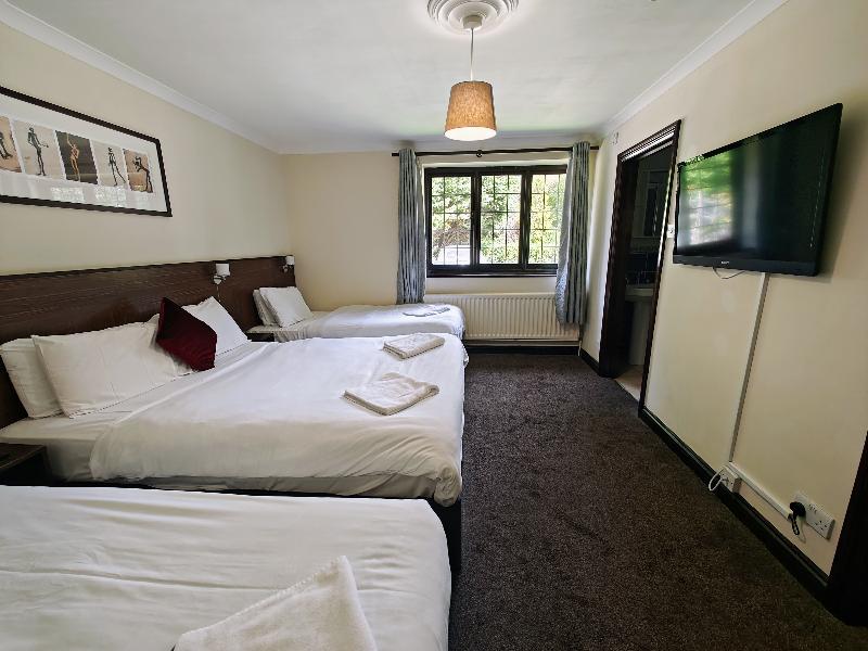 Little Foxes Hotel - Oda