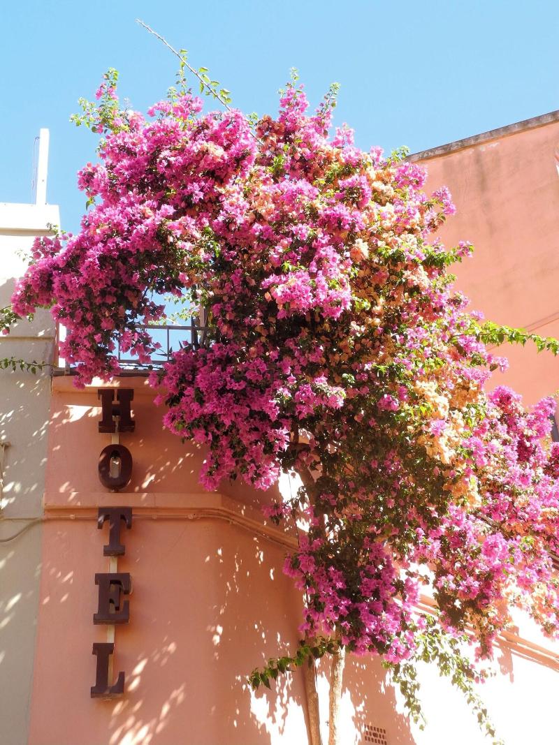 Albergo Italia - Genel
