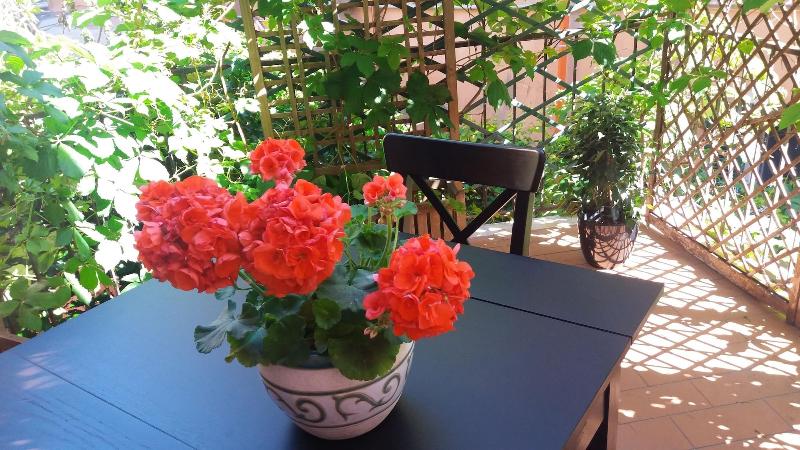 Albergo Italia - Teras