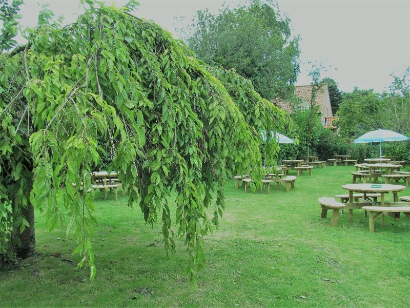 The Three Horseshoes Warham - Genel