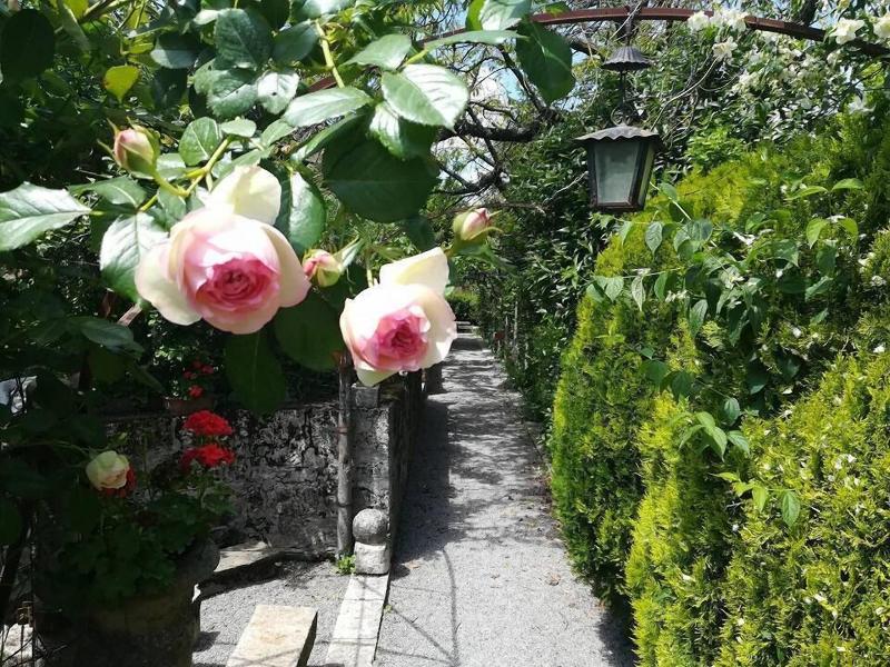Residenza Dei Ricci Relais - Genel