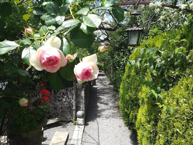 Residenza Dei Ricci Relais - Genel