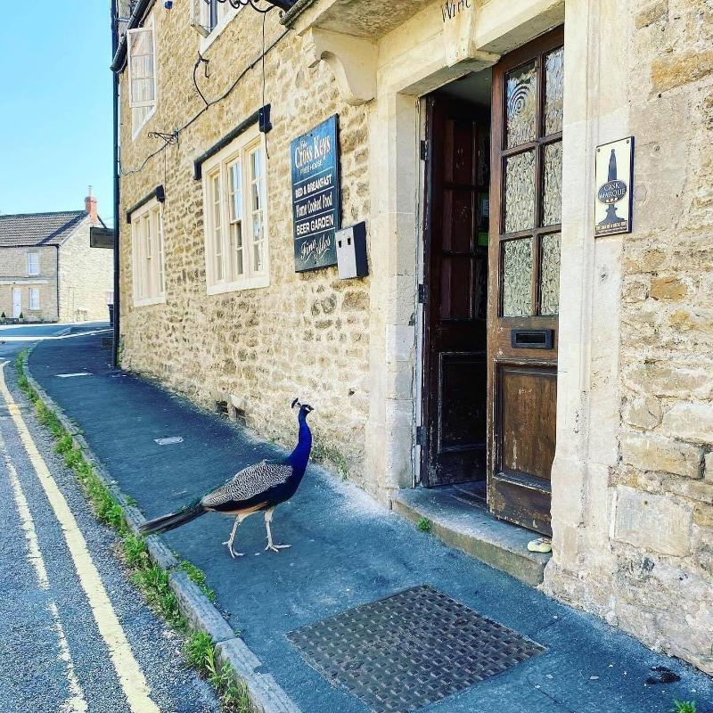 The Cross Keys - Oda