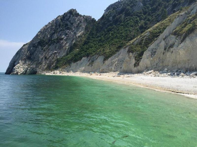 Hotel Le Cave - Genel