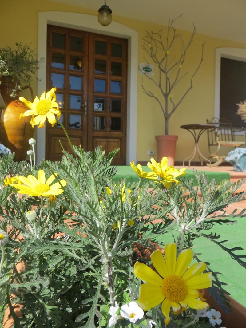 Hotel Girasole - Genel