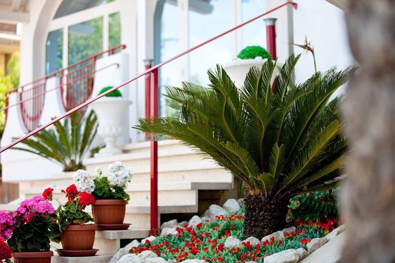 Hotel Ambassador - Genel