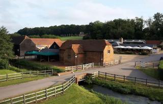 Tewin Bury Farm Hotel otel fotoğrafı