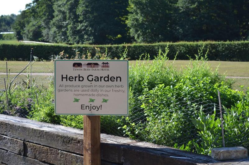 Tewin Bury Farm Hotel - Genel