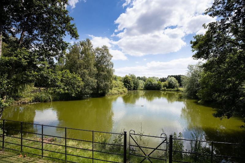 Tewin Bury Farm Hotel - Oda