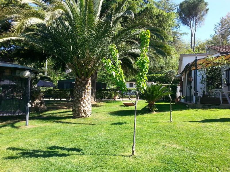 B&B La Quercia - Genel