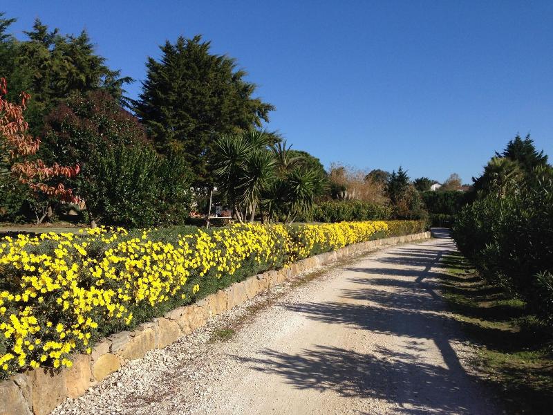 Quinta Verde Sintra - Genel