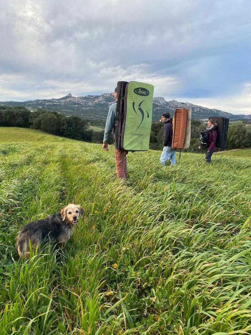 Agriturismo Lu Branu - Aktivite