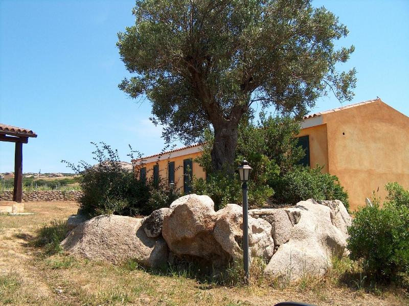 Agriturismo Lu Branu - Genel