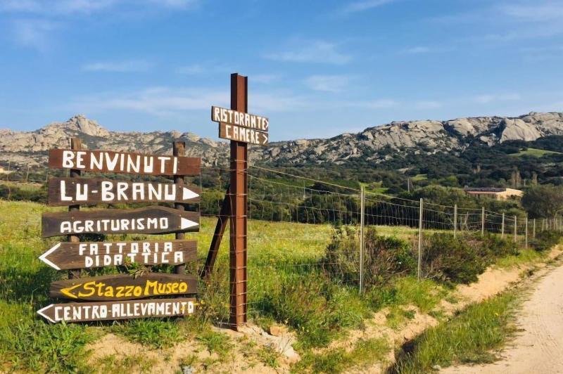 Agriturismo Lu Branu - Genel