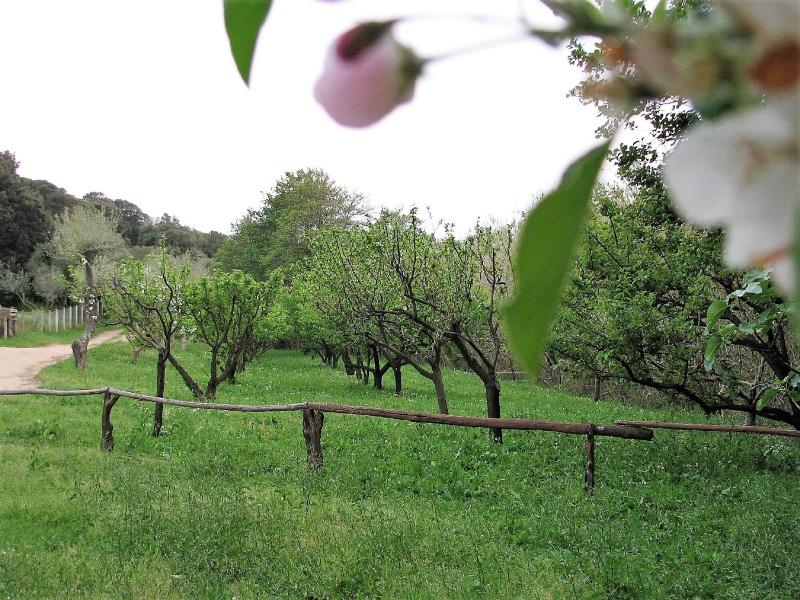 Agriturismo Lu Branu - Genel