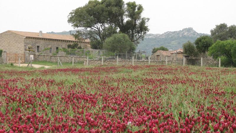 Agriturismo Lu Branu - Genel