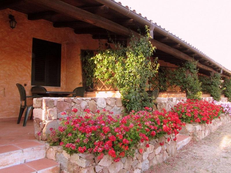 Agriturismo Lu Branu - Oda