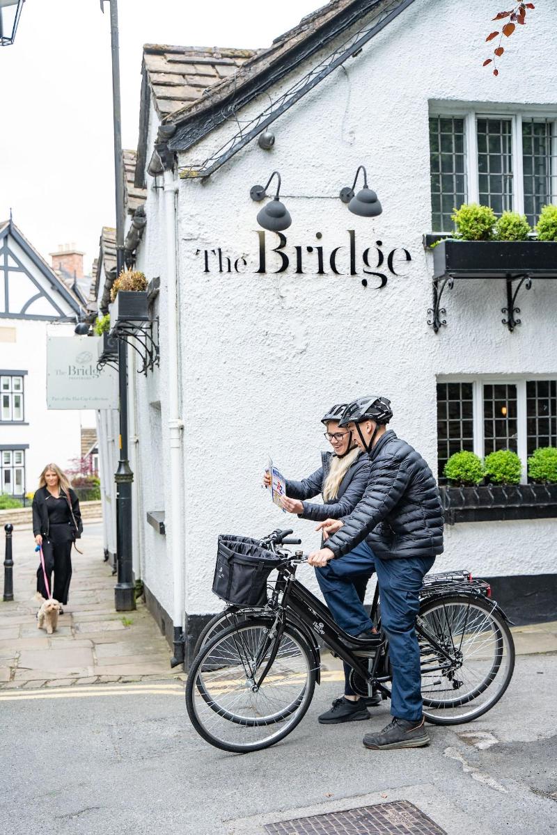 The Bridge - Genel