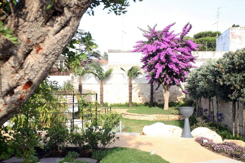 Villa Pina - Genel
