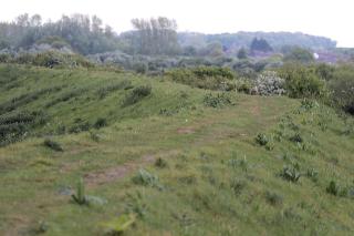 Norfolk Coast B&B Cottages and Camping fotoÄŸrafÄ±