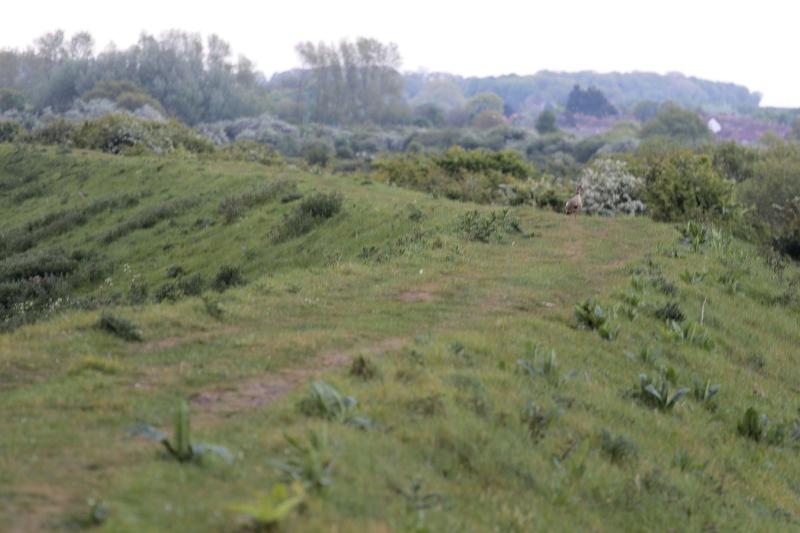 Norfolk Coast B&B Cottages and Camping - Genel