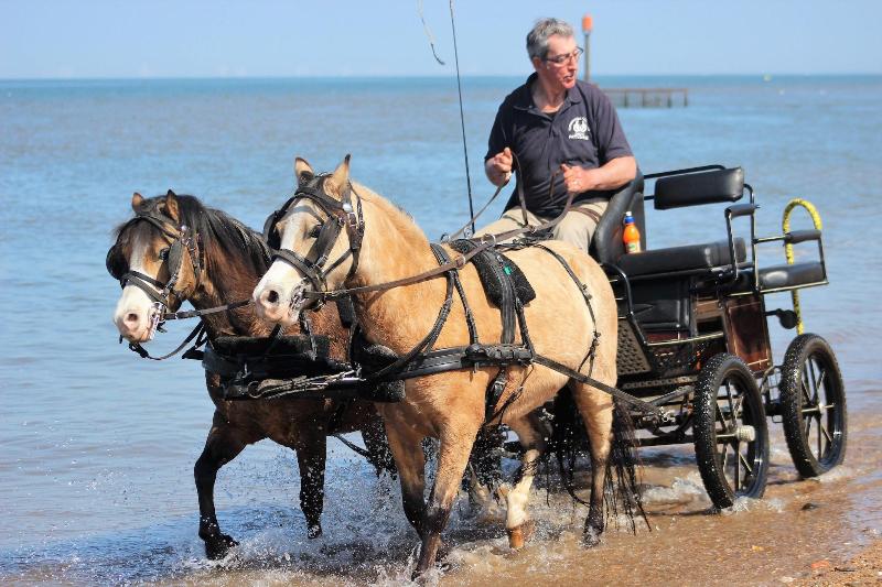 Norfolk Coast B&B Cottages and Camping - Genel