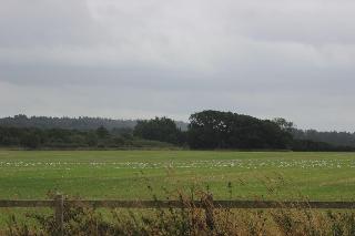 Norfolk Coast B&B Cottages and Camping fotoÄŸrafÄ±