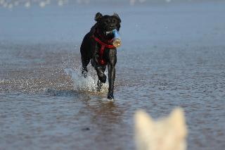 Norfolk Coast B&B Cottages and Camping fotoÄŸrafÄ±
