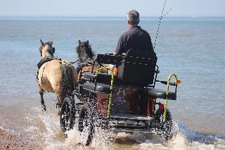 Norfolk Coast B&B Cottages and Camping fotoÄŸrafÄ±