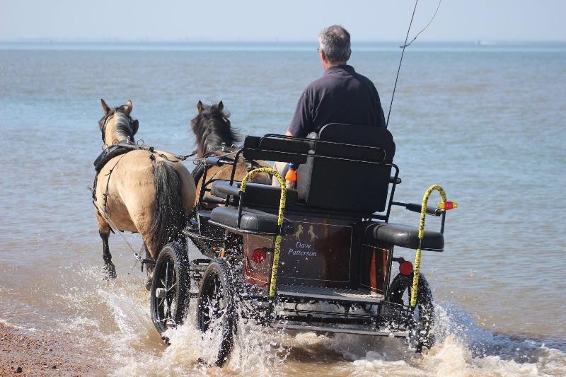 Norfolk Coast B&B Cottages and Camping - Plaj