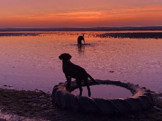 Norfolk Coast B&B Cottages and Camping fotoÄŸrafÄ±