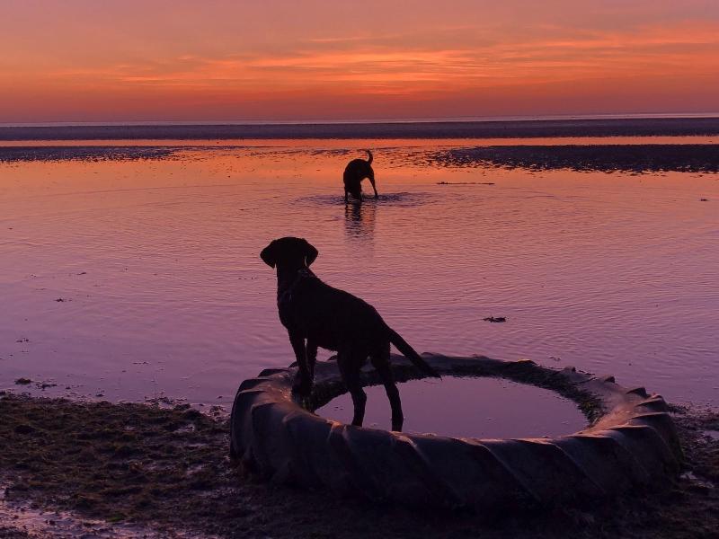 Norfolk Coast B&B Cottages and Camping - Plaj
