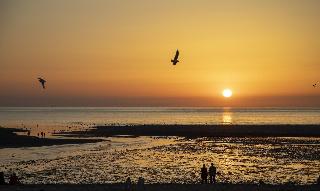 Norfolk Coast B&B Cottages and Camping fotoÄŸrafÄ±