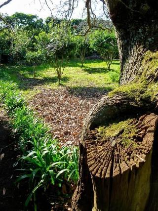 Quinta do Espírito Santo fotoÄŸrafÄ±