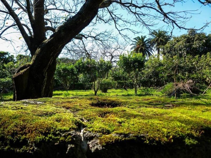 Quinta do Espírito Santo - Genel