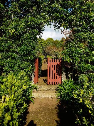 Quinta do Espírito Santo fotoÄŸrafÄ±