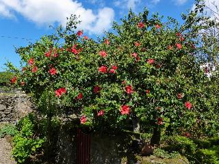 Quinta do Espírito Santo fotoÄŸrafÄ±