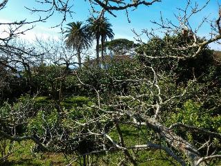 Quinta do Espírito Santo fotoÄŸrafÄ±