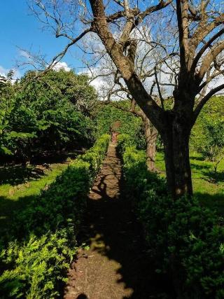 Quinta do Espírito Santo fotoÄŸrafÄ±