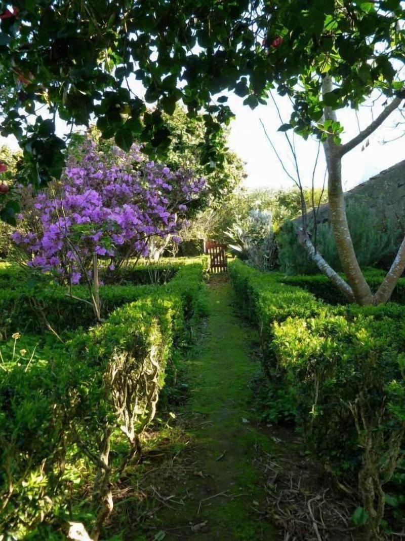 Quinta do Espírito Santo - Genel