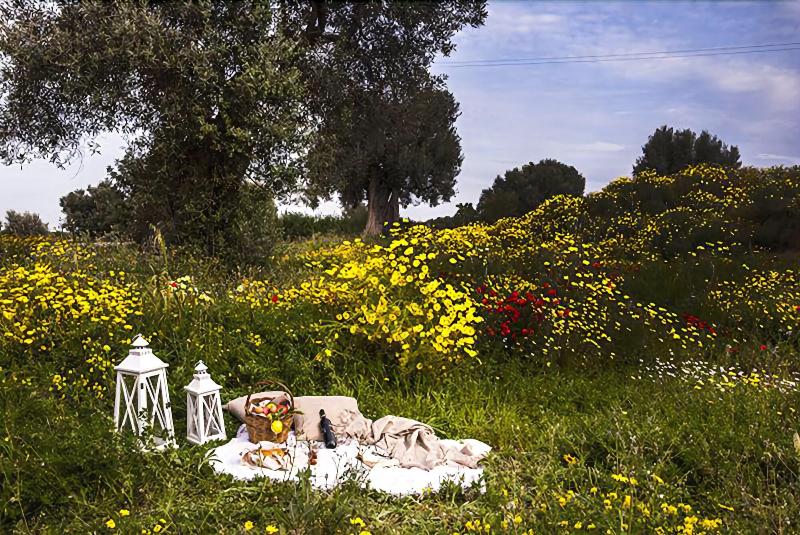 Masseria San Francesco - Genel