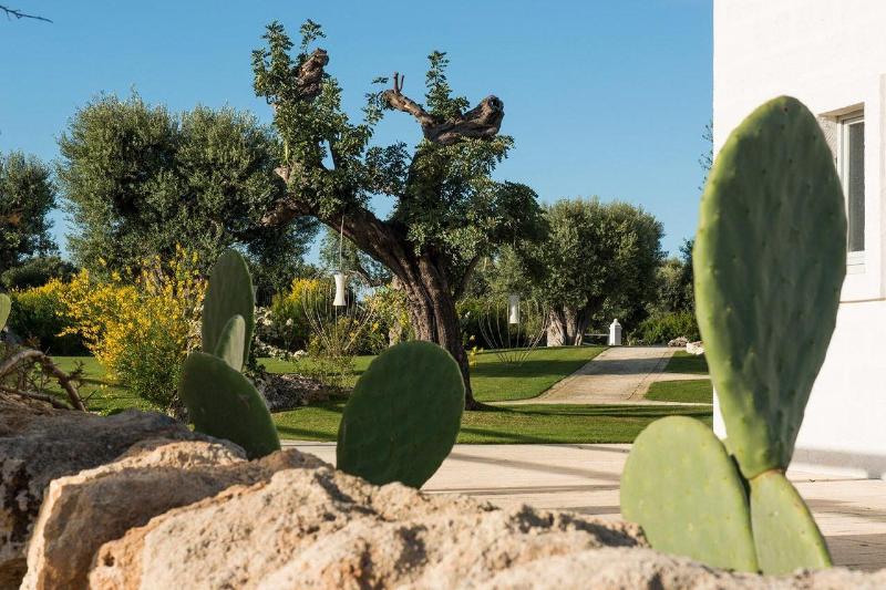 Masseria San Francesco - Genel