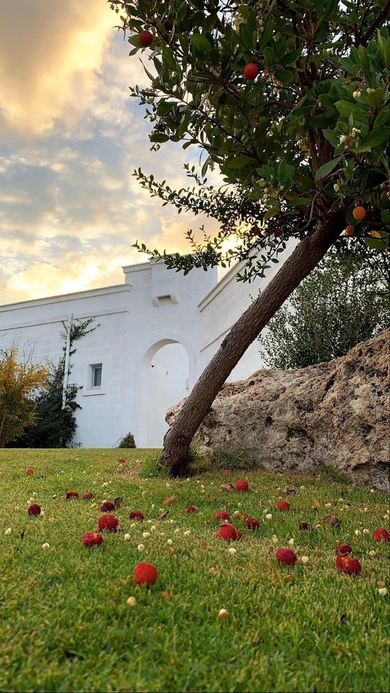 Masseria San Francesco - Genel