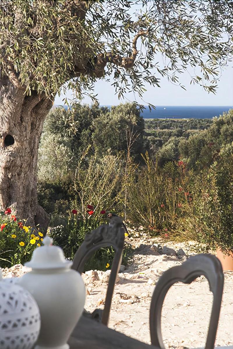 Masseria San Francesco - Genel