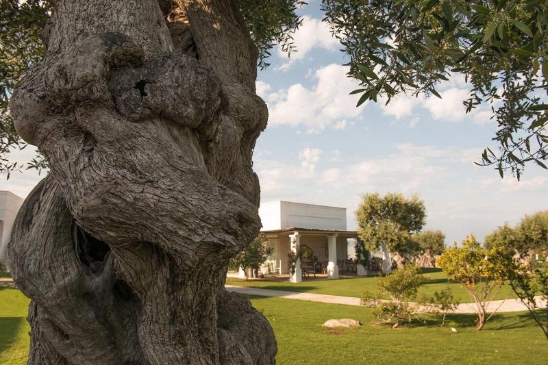Masseria San Francesco - Genel